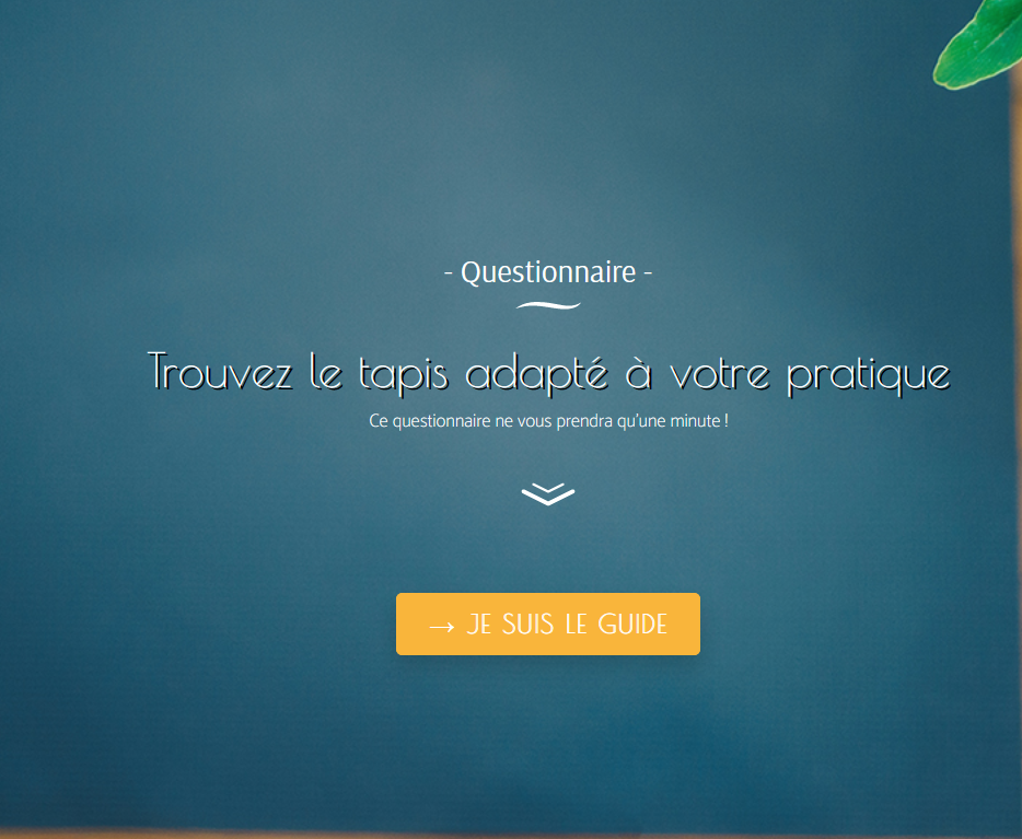 le questionnaire pour vous aider à chosir le tapis de yoga chin mudra idéal pour vous