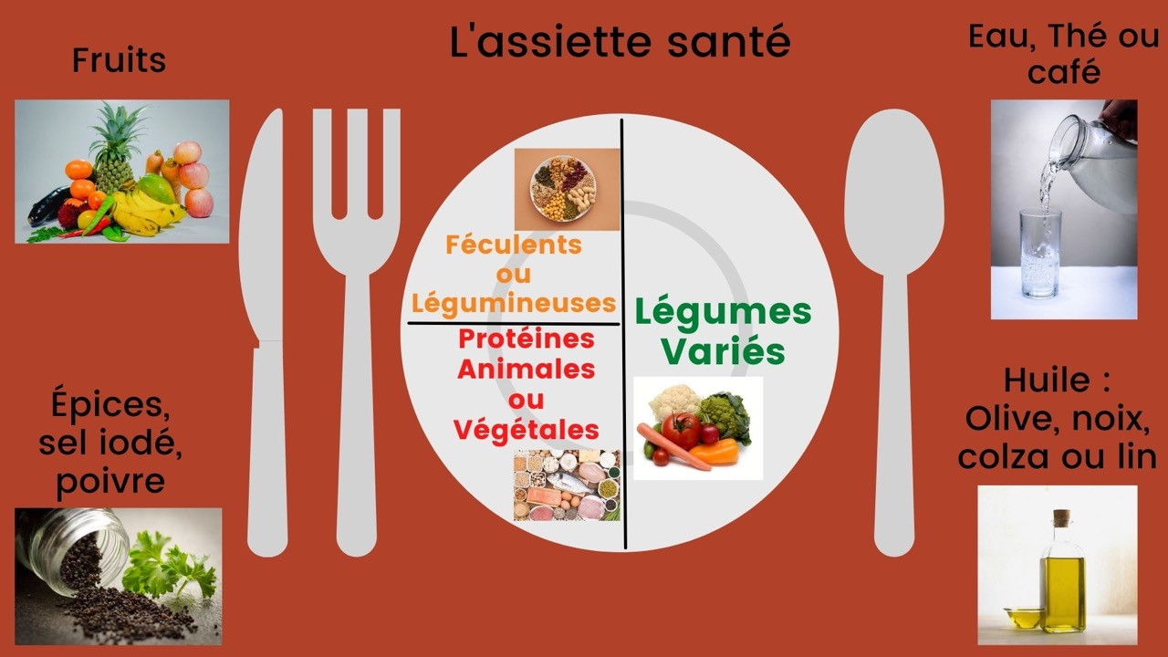 L'assiette pour une alimentation équilibrée