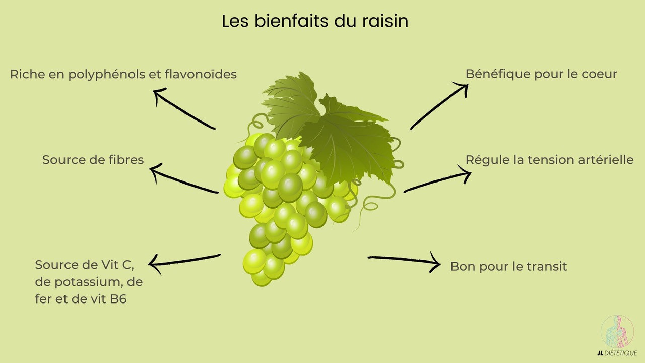 les bienfaits du raisin lesbienfaits du raisin