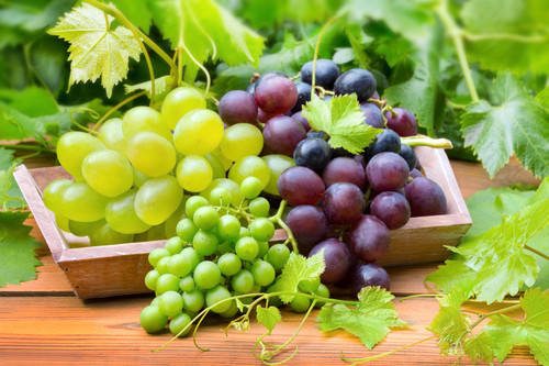 Huile, fruit, sec, le raisin et ses bienfaits le raisin : profitez de toutes ses formes