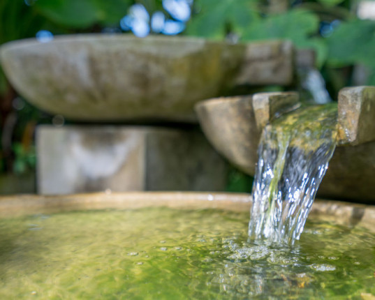 Pourquoi devons-nous boire de l’eau  ?