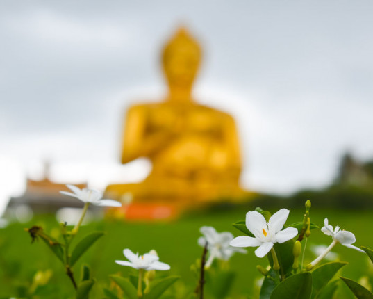 Yoga Sūtra de Patañjali : samādhi , le huitiéme pilier