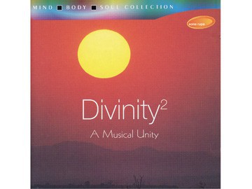 Divinity Vol.2