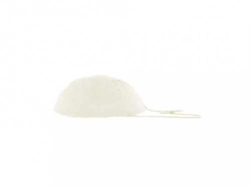 Eponge de Konjac