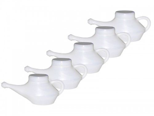 Lot de 24 Lotas de voyage Satguru XL