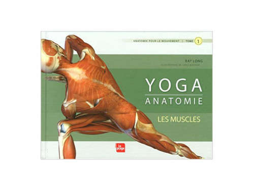 Yoga Anatomie