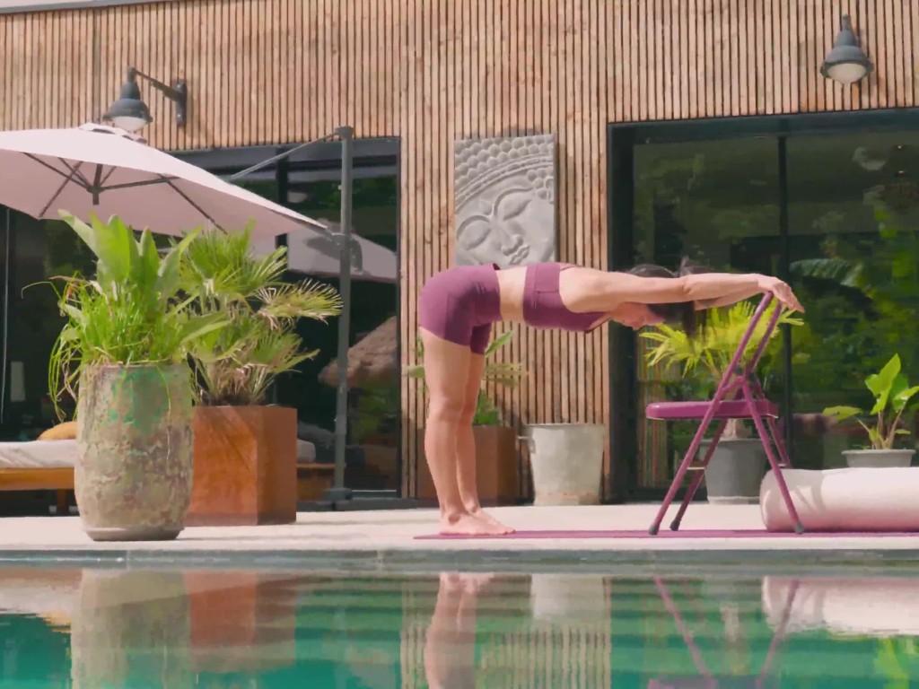 Chaise de Yoga Standard 2 Barres Prune